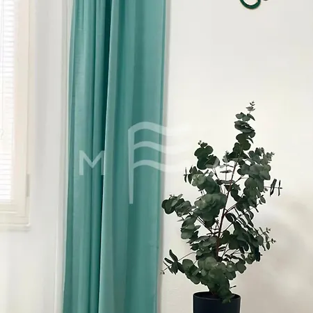 Sunset Paradise גולם